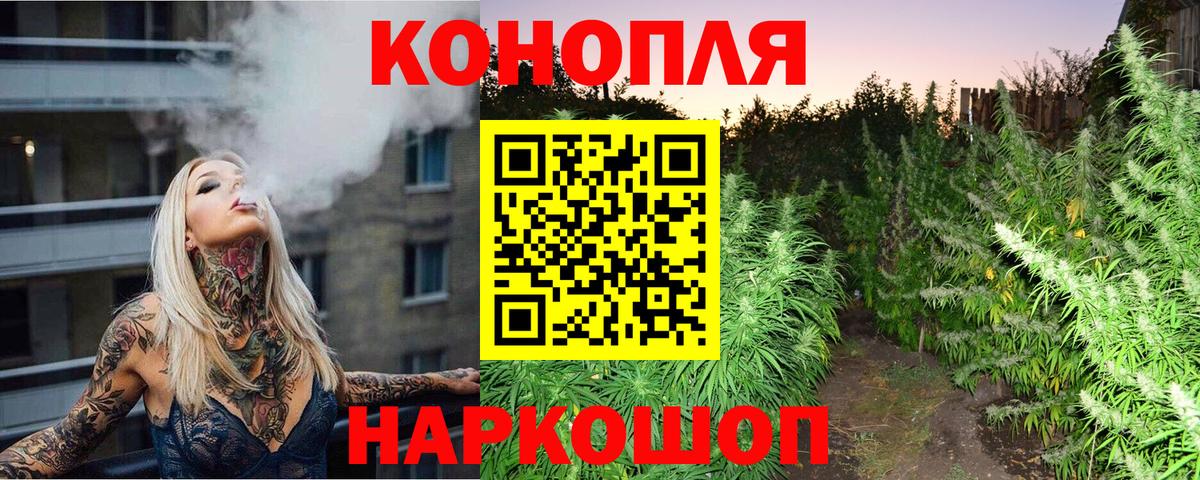 Марихуана сатива Аксай
